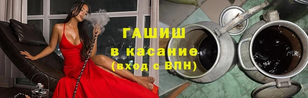 шишки Новозыбков