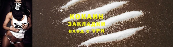 шишки Новозыбков