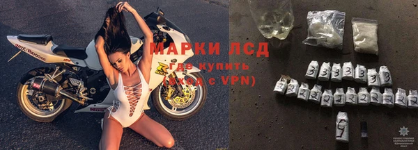 прущие крисы Новокубанск