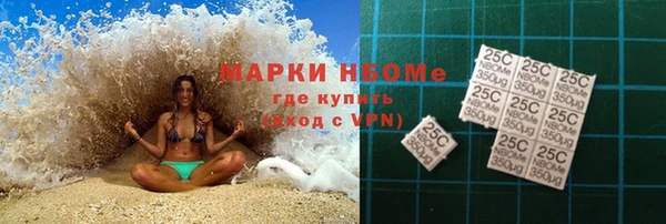 шишки Новозыбков